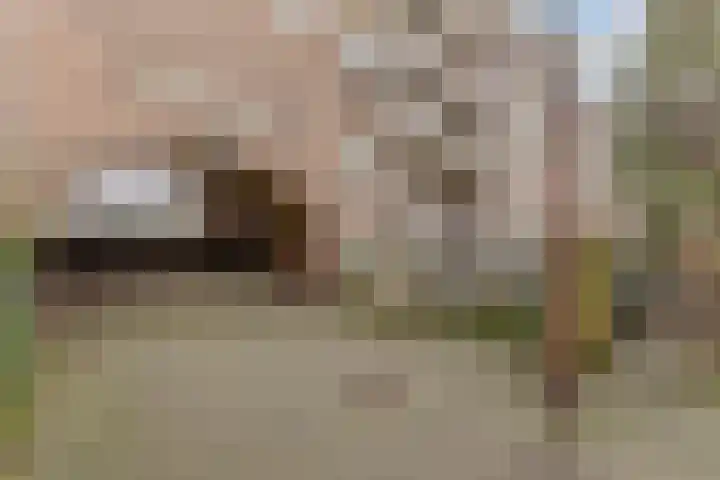 Spaarndammerdijk 267 Amsterdam thumbnail 4