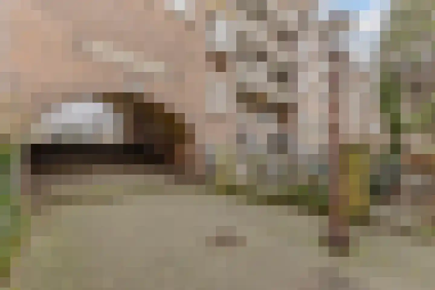 Spaarndammerdijk 267 Amsterdam thumbnail 4