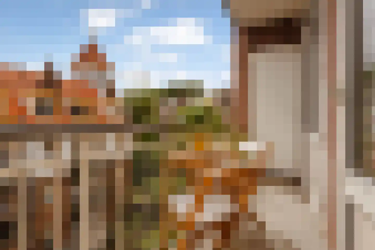 Spaarndammerdijk 272 Amsterdam thumbnail 17