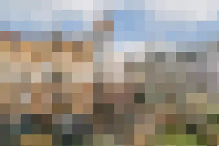 Spaarndammerdijk 276 Amsterdam thumbnail 21