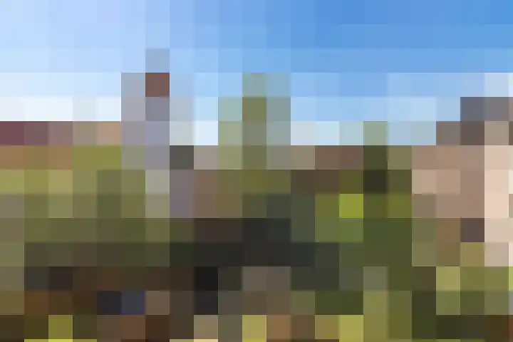 Spaarndammerdijk 283 Amsterdam thumbnail 18
