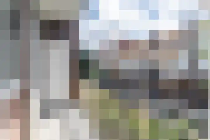 Spaarndammerdijk 283 Amsterdam foto 3