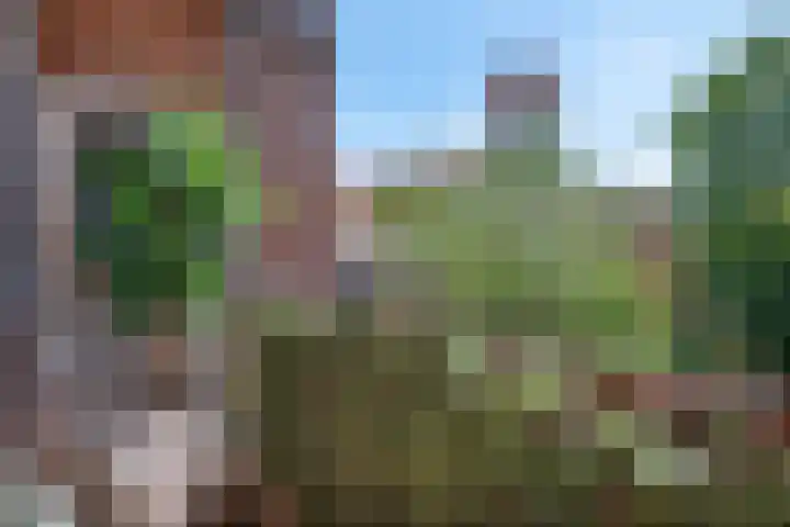Spaarndammerdijk 284 Amsterdam thumbnail 11