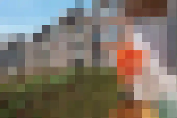 Spaarndammerdijk 284 Amsterdam thumbnail 13