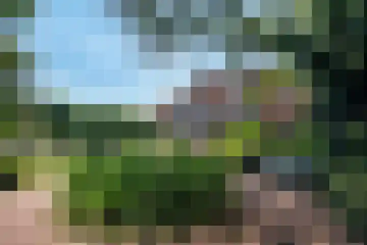 Spaarndammerdijk 284 Amsterdam thumbnail 25