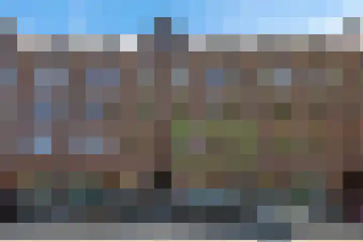 Spaarndammerdijk 284 Amsterdam thumbnail 35