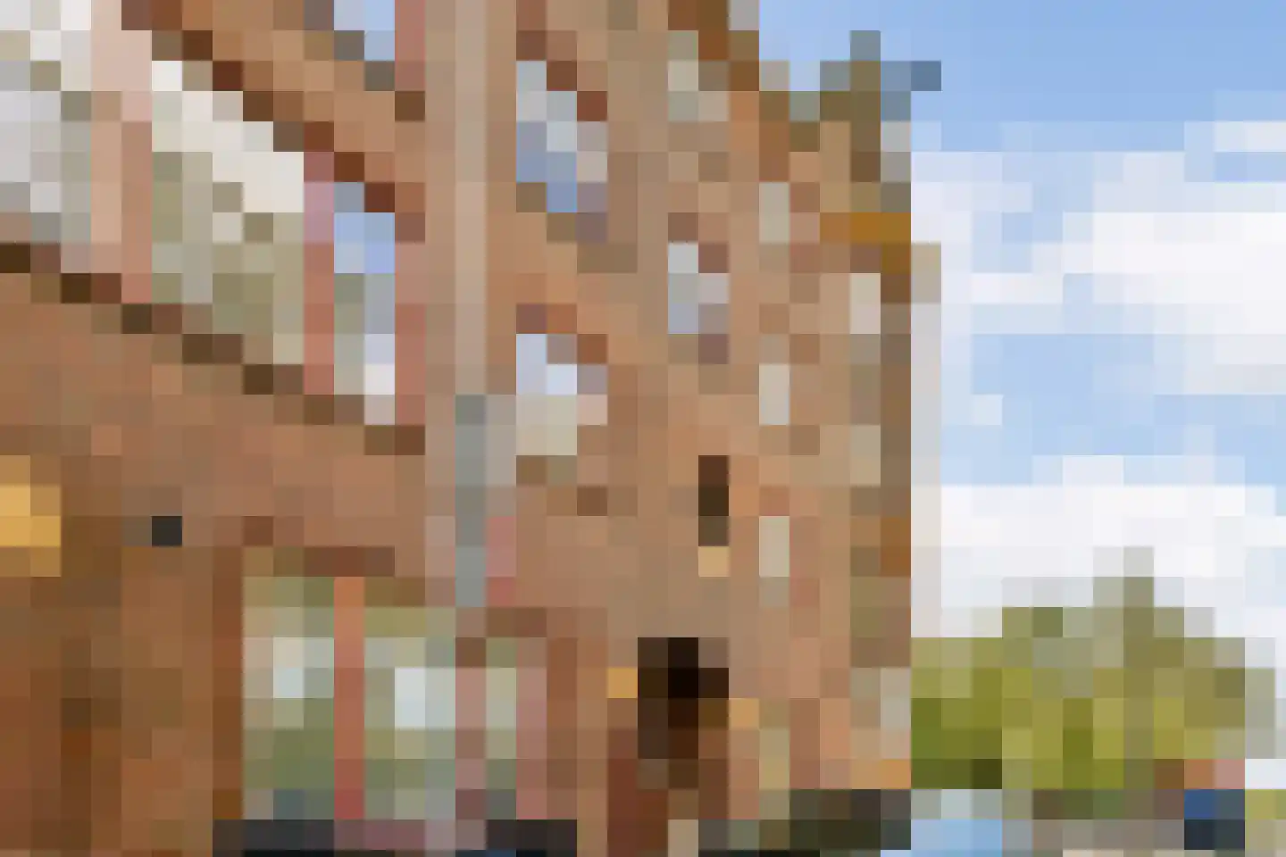 Spaarndammerdijk 293 Amsterdam thumbnail 31