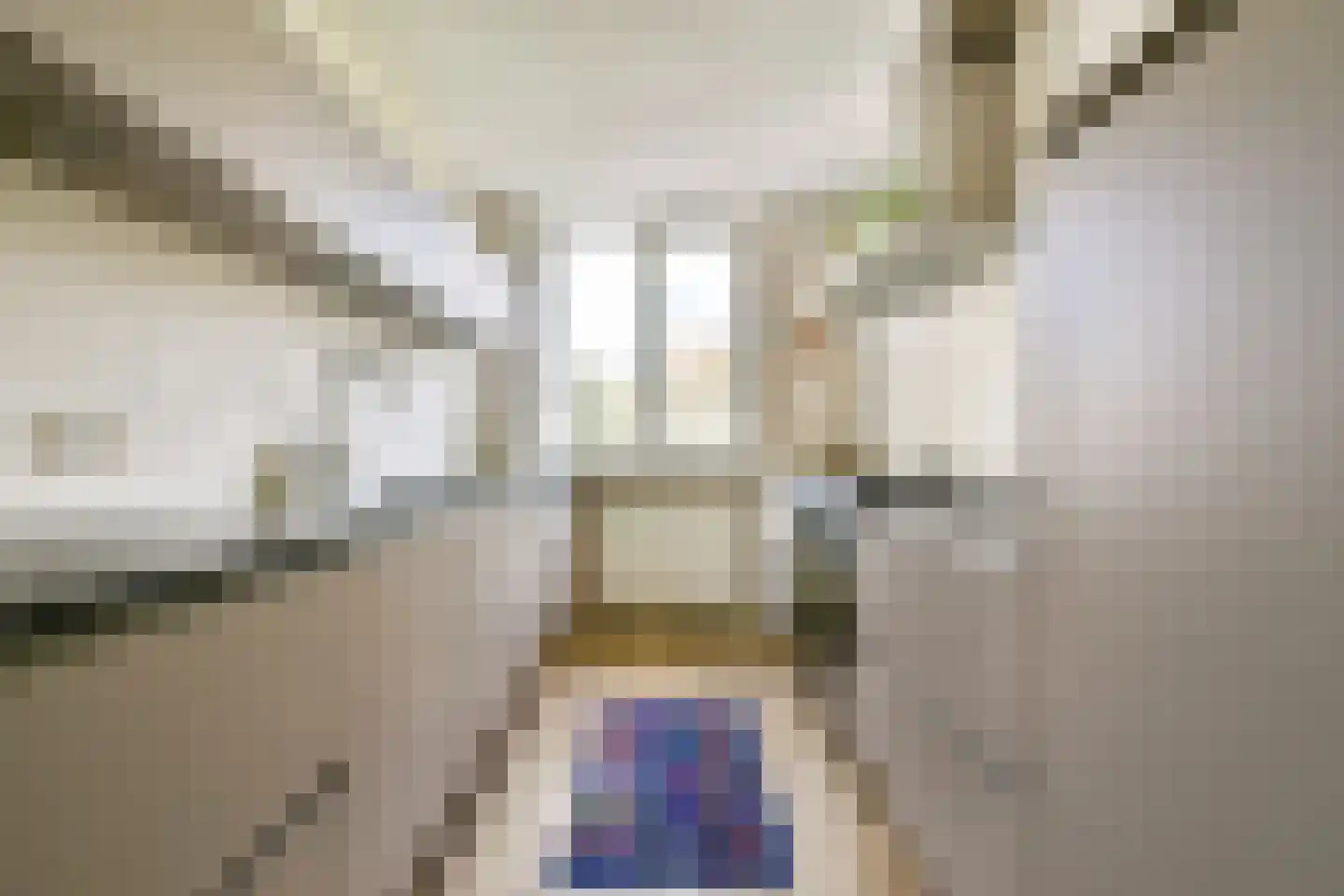 Spaarndammerdijk 293 Amsterdam thumbnail 7