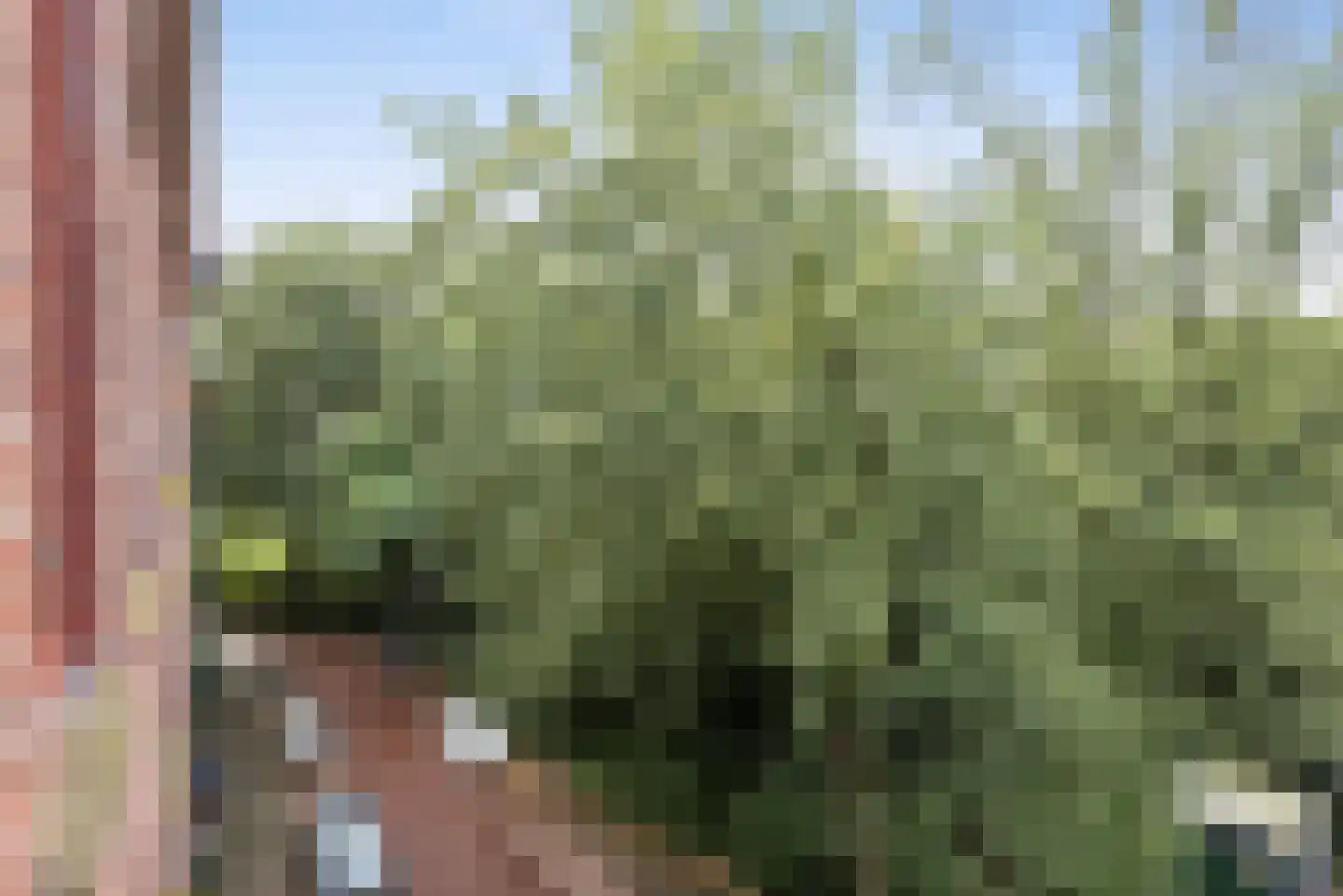 Spaarndammerdijk 298 Amsterdam thumbnail 13