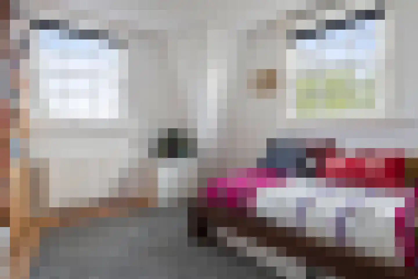 Spaarndammerdijk 298 Amsterdam thumbnail 22