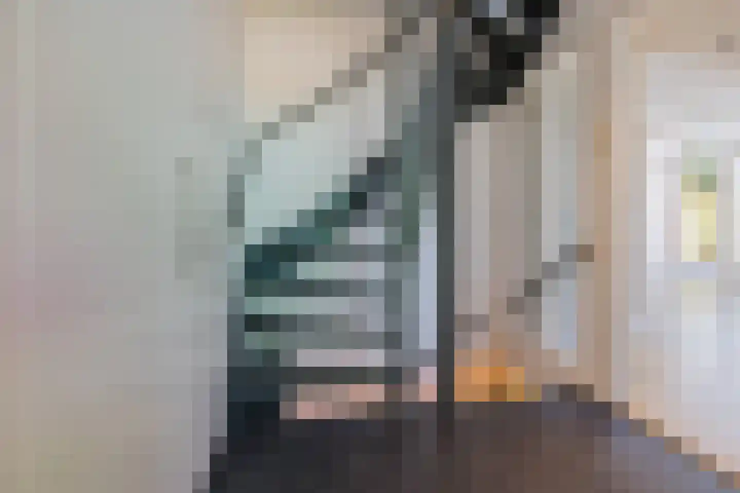 Spaarndammerdijk 34 Spaarndam thumbnail 13