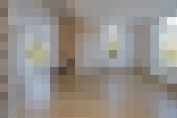 Spaarndammerdijk 34 Spaarndam thumbnail 16