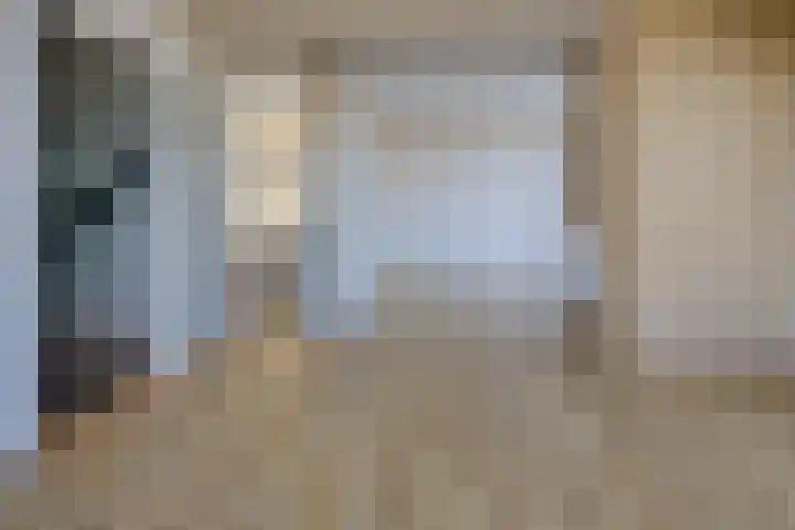 Spaarndammerdijk 34 Spaarndam thumbnail 18