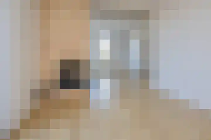 Spaarndammerdijk 34 Spaarndam thumbnail 21