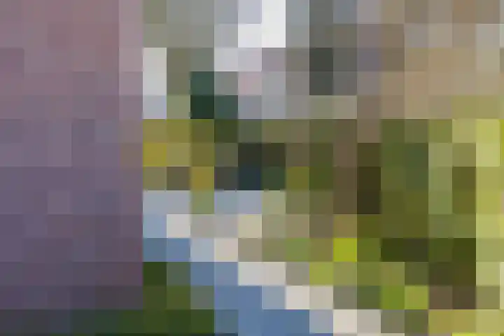 Spaarndammerdijk 34 Spaarndam thumbnail 27