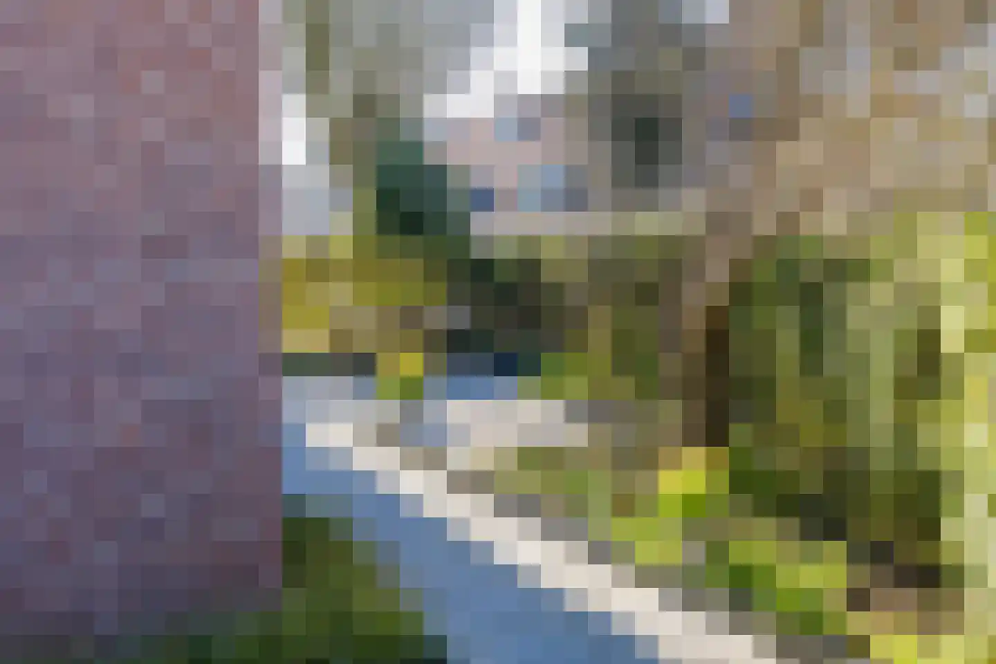 Spaarndammerdijk 34 Spaarndam thumbnail 27