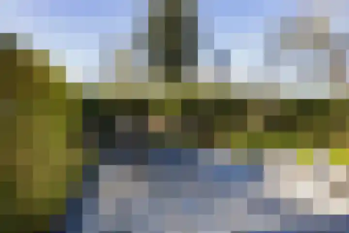 Spaarndammerdijk 34 Spaarndam thumbnail 29