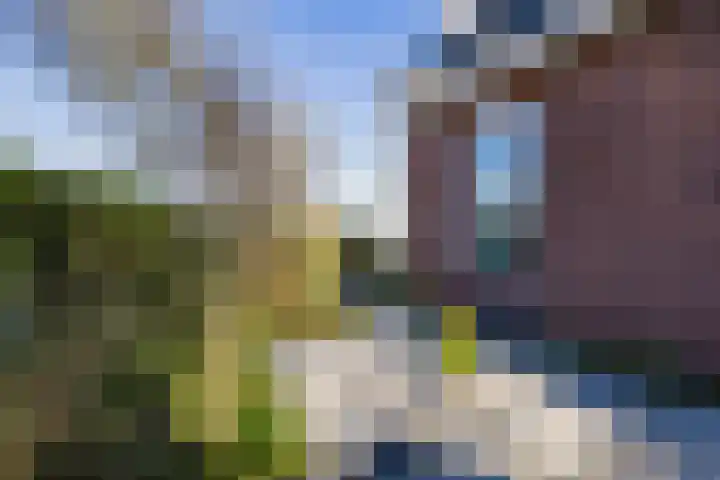 Spaarndammerdijk 34 Spaarndam thumbnail 30