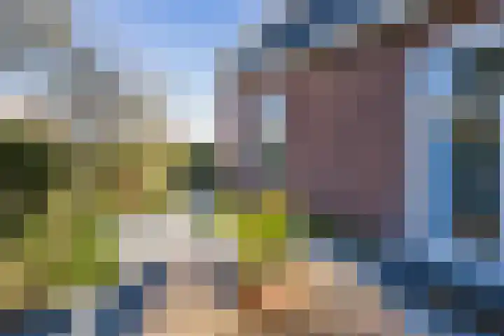 Spaarndammerdijk 34 Spaarndam thumbnail 31