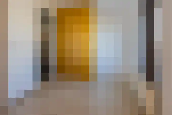 Spaarndammerdijk 34 Spaarndam thumbnail 37