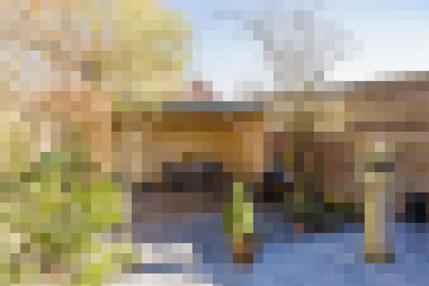 Spaarndammerdijk 34 Spaarndam thumbnail 61
