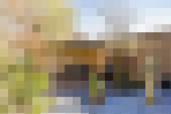 Spaarndammerdijk 34 Spaarndam thumbnail 61