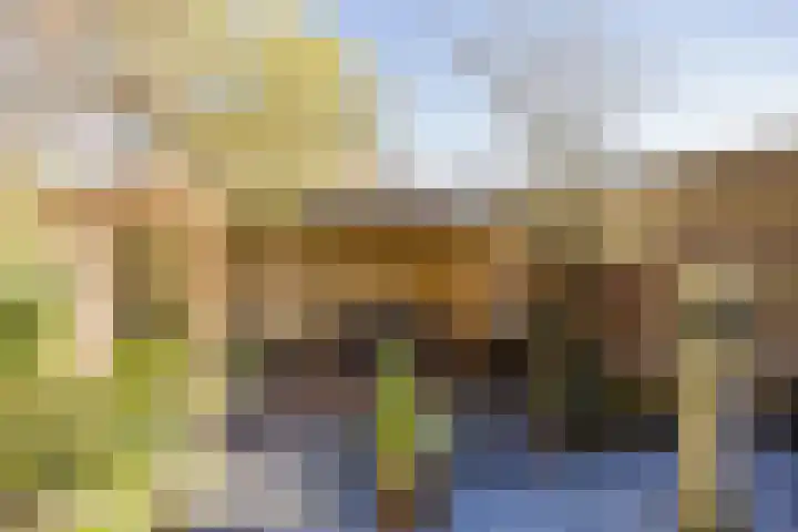 Spaarndammerdijk 34 Spaarndam thumbnail 62