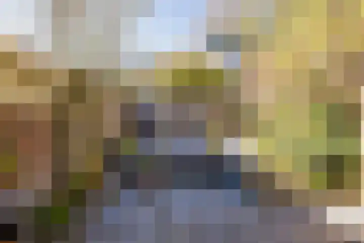 Spaarndammerdijk 34 Spaarndam thumbnail 65
