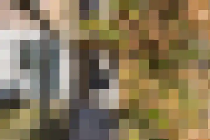 Spaarndammerdijk 34 Spaarndam thumbnail 66
