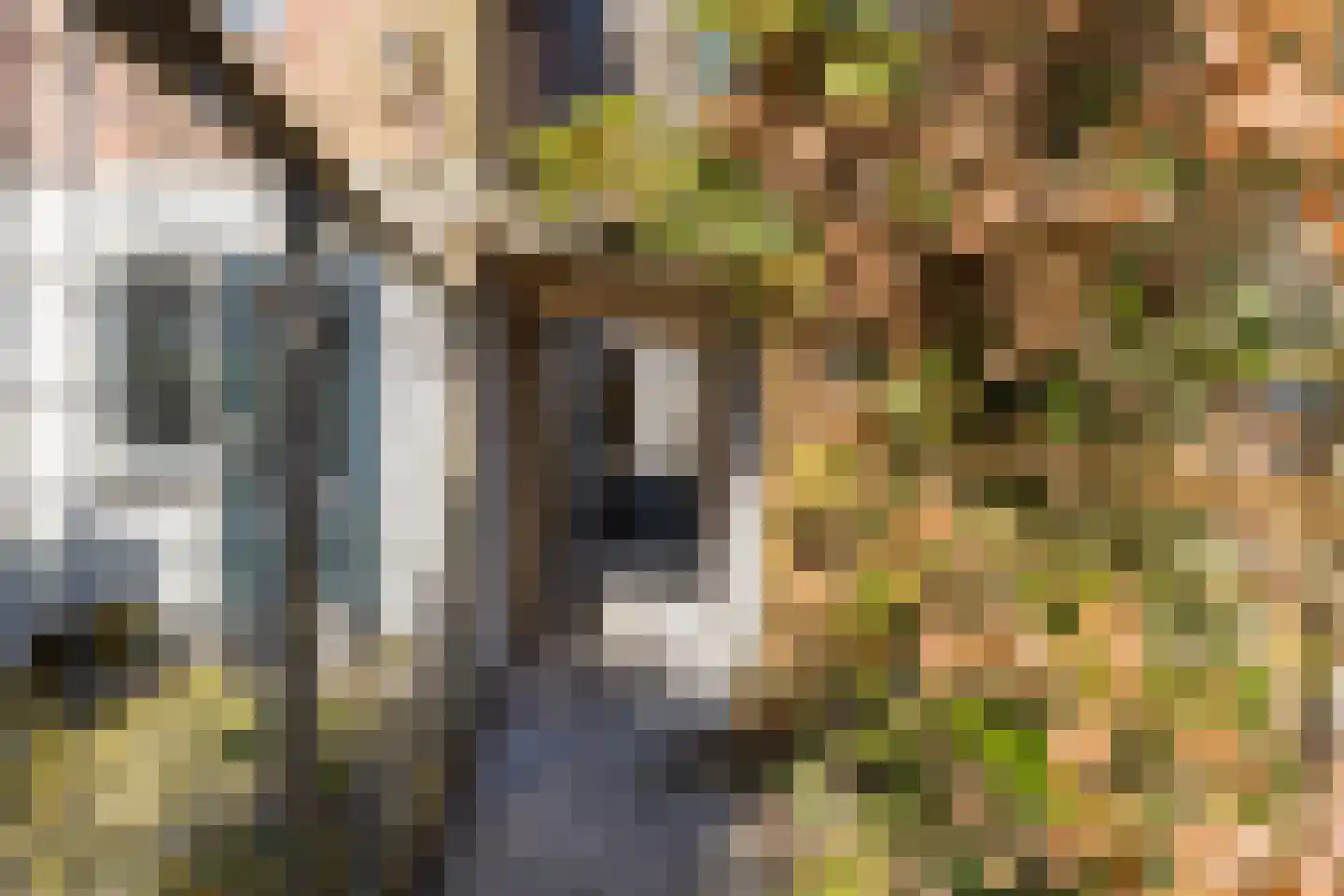 Spaarndammerdijk 34 Spaarndam thumbnail 66