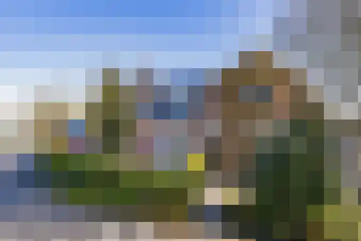 Spaarndammerdijk 34 Spaarndam thumbnail 7