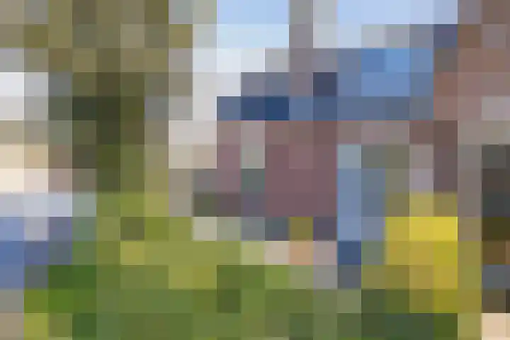 Spaarndammerdijk 34 Spaarndam thumbnail 8