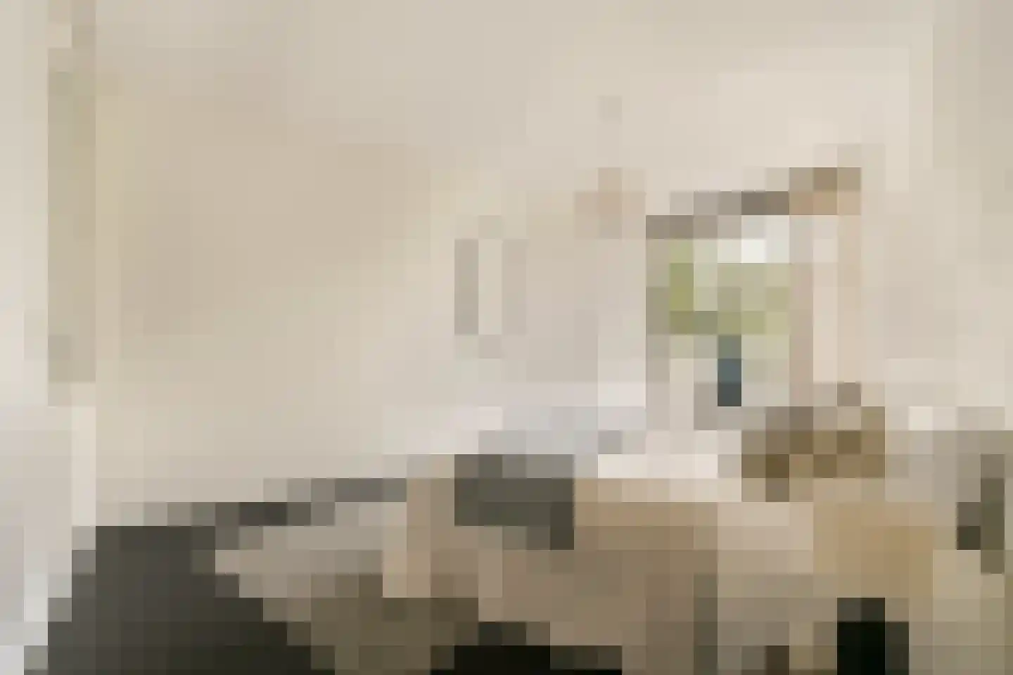 Spaarndammerdijk 7 E Amsterdam thumbnail 15
