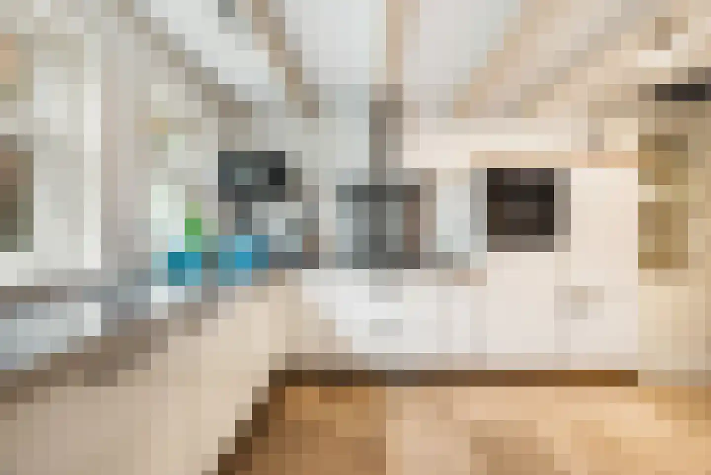 Spaarndammerdijk 96 B Spaarndam gem. Haarlem thumbnail 24