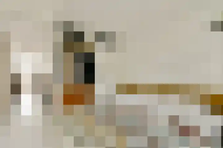 Spaarndammerstraat 123 1 Amsterdam thumbnail 13