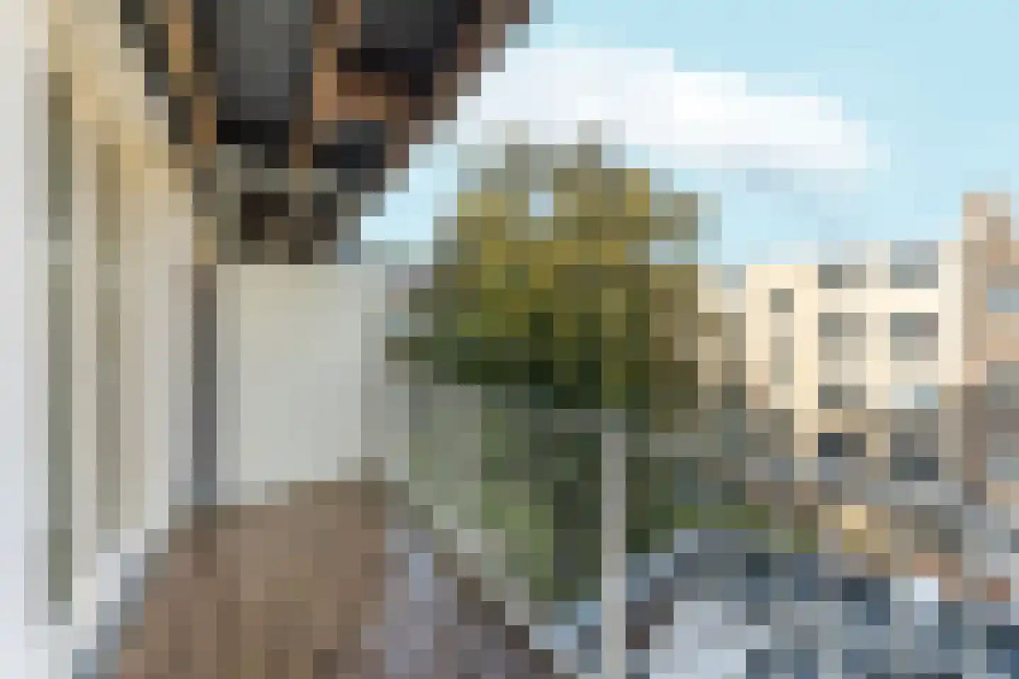 Spaarndammerstraat 131 2 Amsterdam thumbnail 19