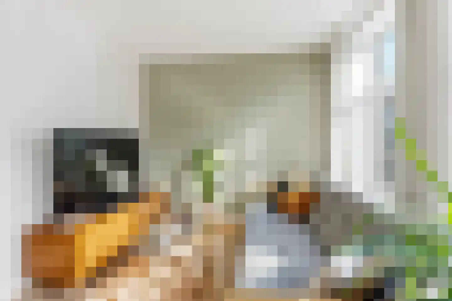 Spaarndammerstraat 131 2 Amsterdam thumbnail 7