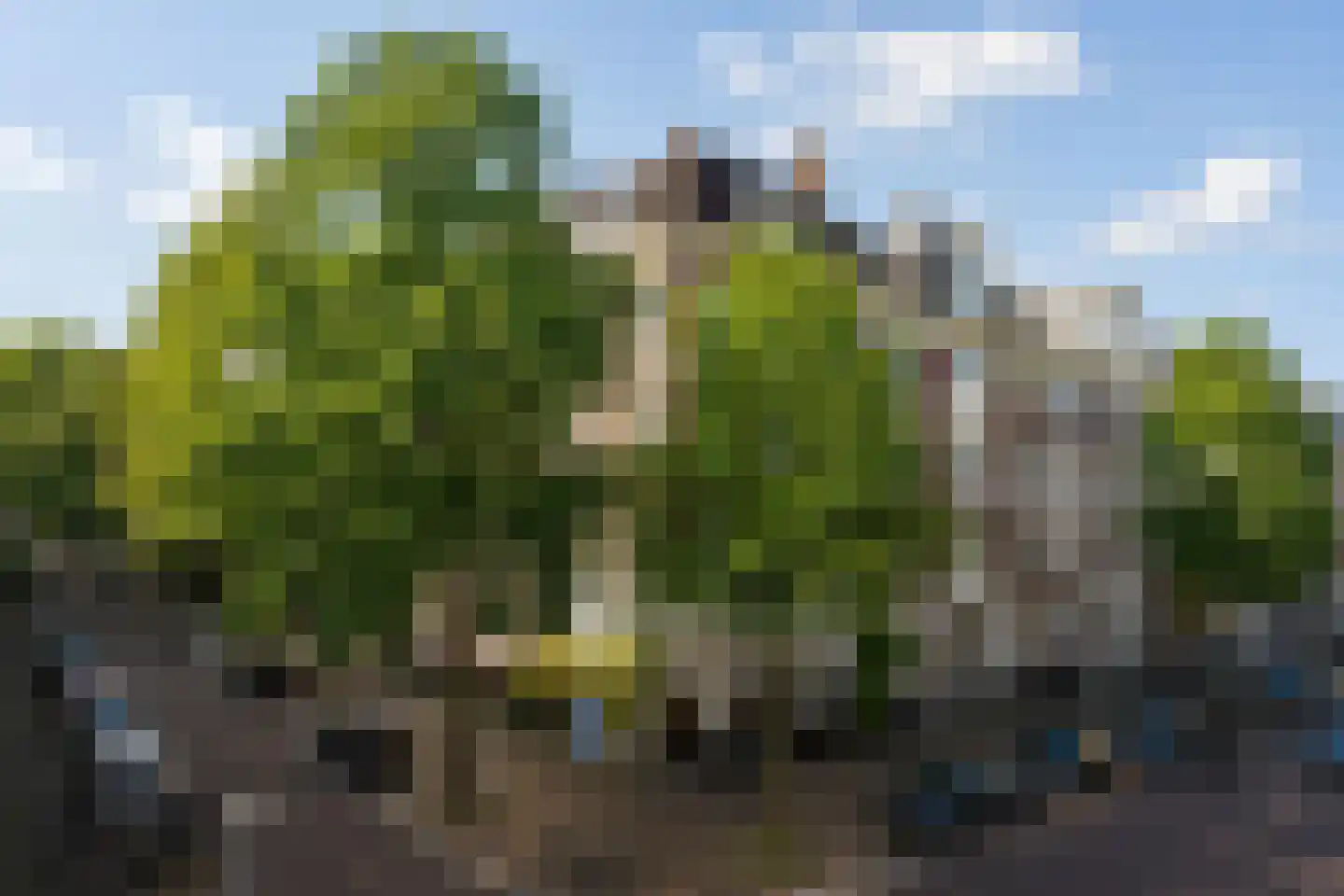 Spaarndammerstraat 17 2 Amsterdam thumbnail 22