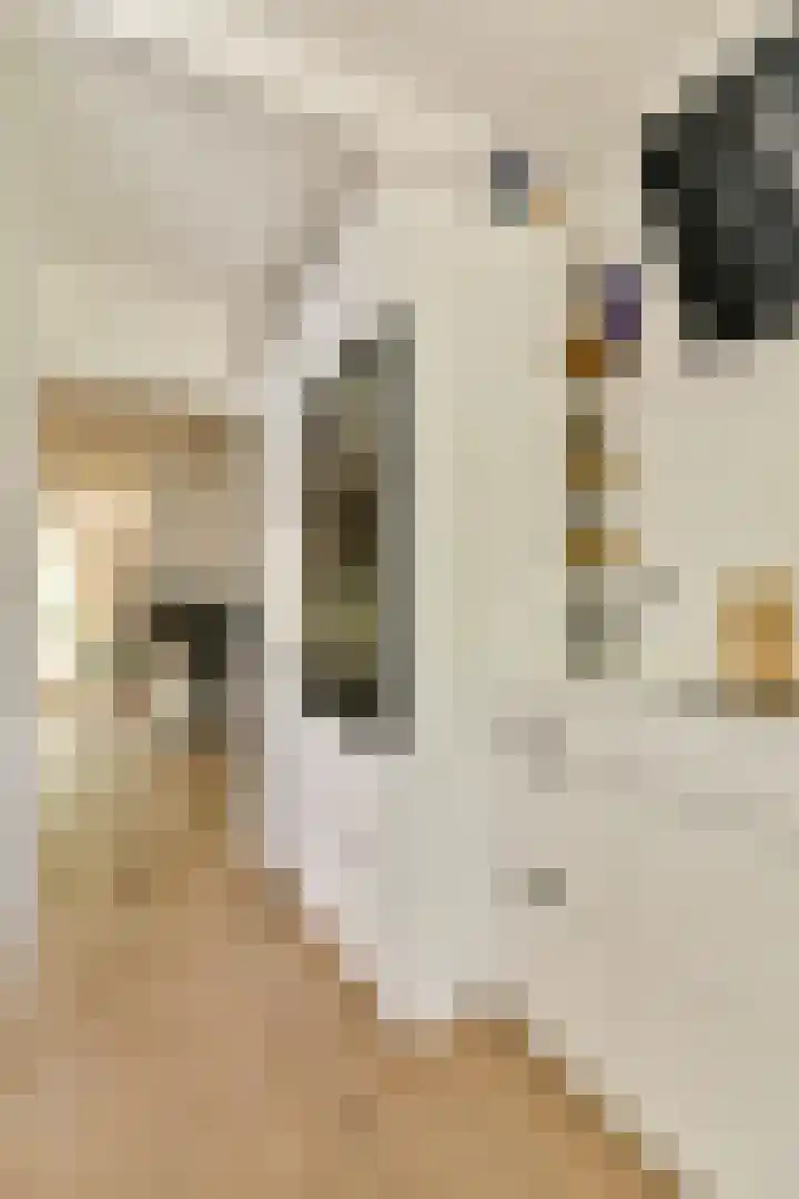 Spaarndammerstraat 8 C Amsterdam thumbnail 10