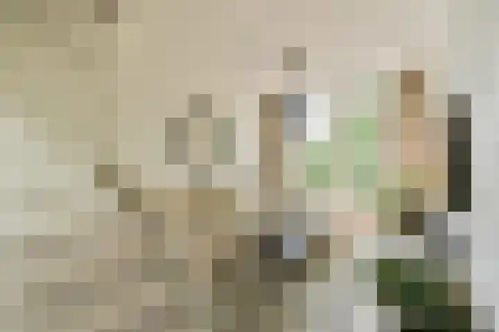 Spaarndammerstraat 8 C Amsterdam thumbnail 6