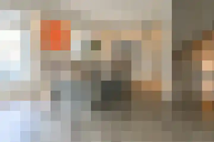 Spaarndammerweg 26 Halfweg thumbnail 10