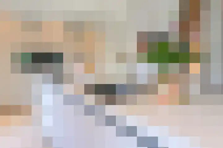 Spaarndammerweg 26 Halfweg thumbnail 13