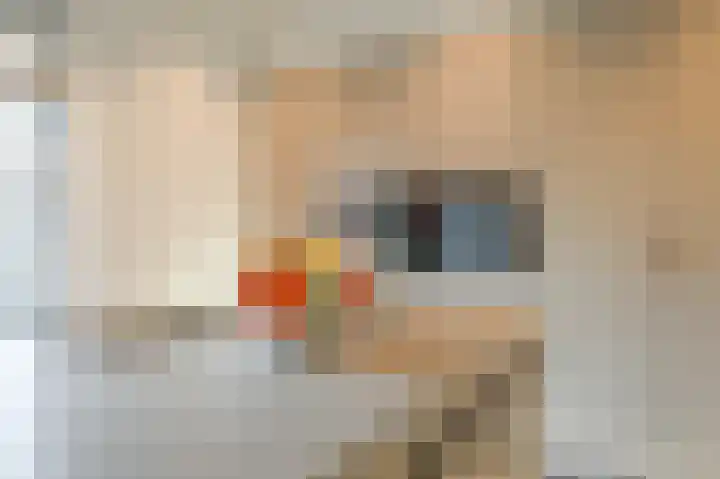 Spaarndammerweg 26 Halfweg thumbnail 14