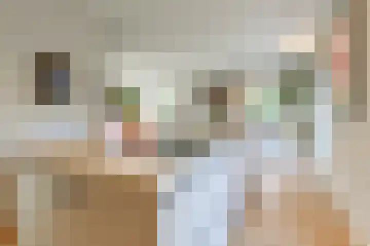 Spaarndammerweg 26 Halfweg thumbnail 16
