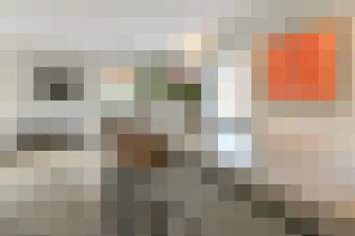 Spaarndammerweg 26 Halfweg thumbnail 17