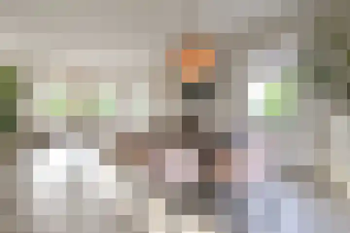 Spaarndammerweg 26 Halfweg thumbnail 18