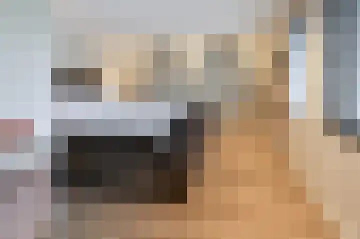 Spaarndammerweg 26 Halfweg thumbnail 32