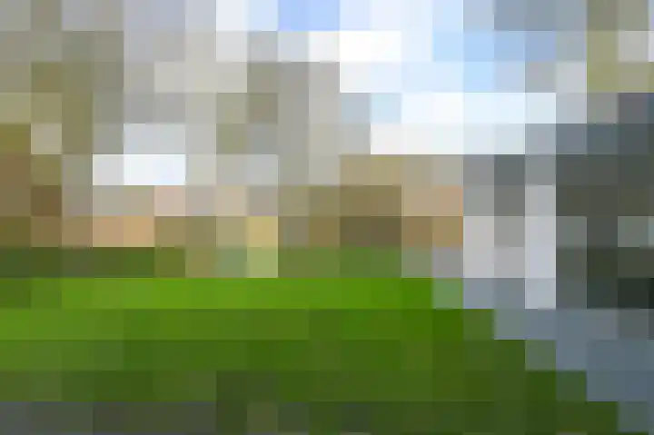 Spaarndammerweg 26 Halfweg thumbnail 38