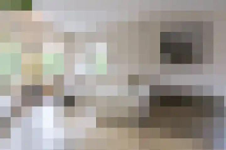 Spaarndammerweg 26 Halfweg thumbnail 4