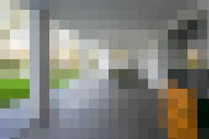 Spaarndammerweg 26 Halfweg thumbnail 40